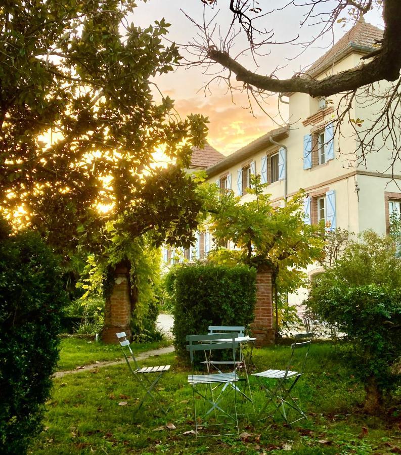 Domaine de Ménerque - petit château avec piscine Lisle-sur-Tarn Exterior foto