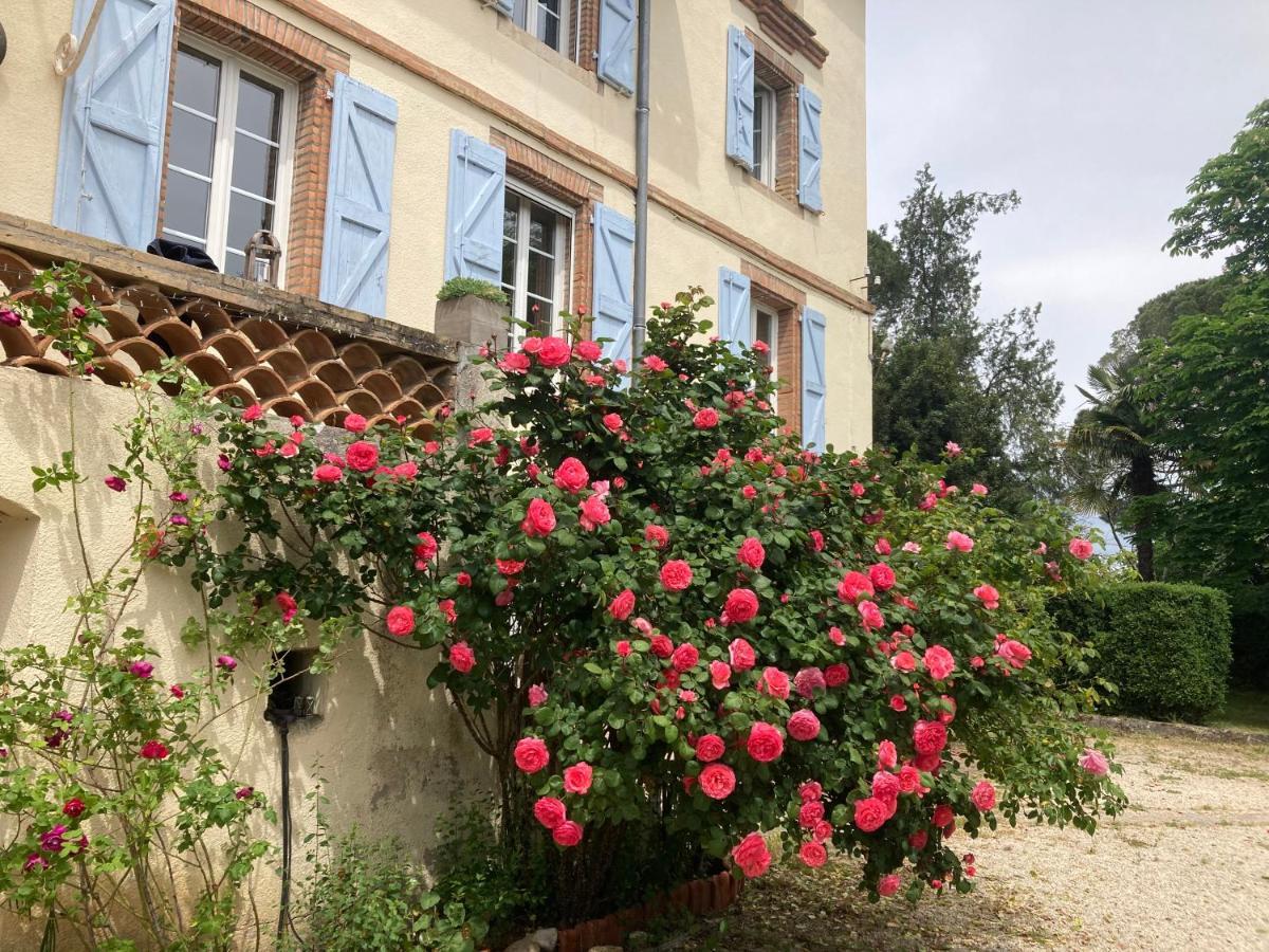 Domaine de Ménerque - petit château avec piscine Lisle-sur-Tarn Exterior foto