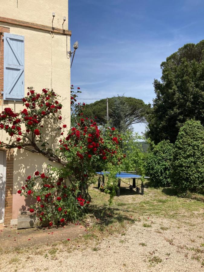 Domaine de Ménerque - petit château avec piscine Lisle-sur-Tarn Exterior foto